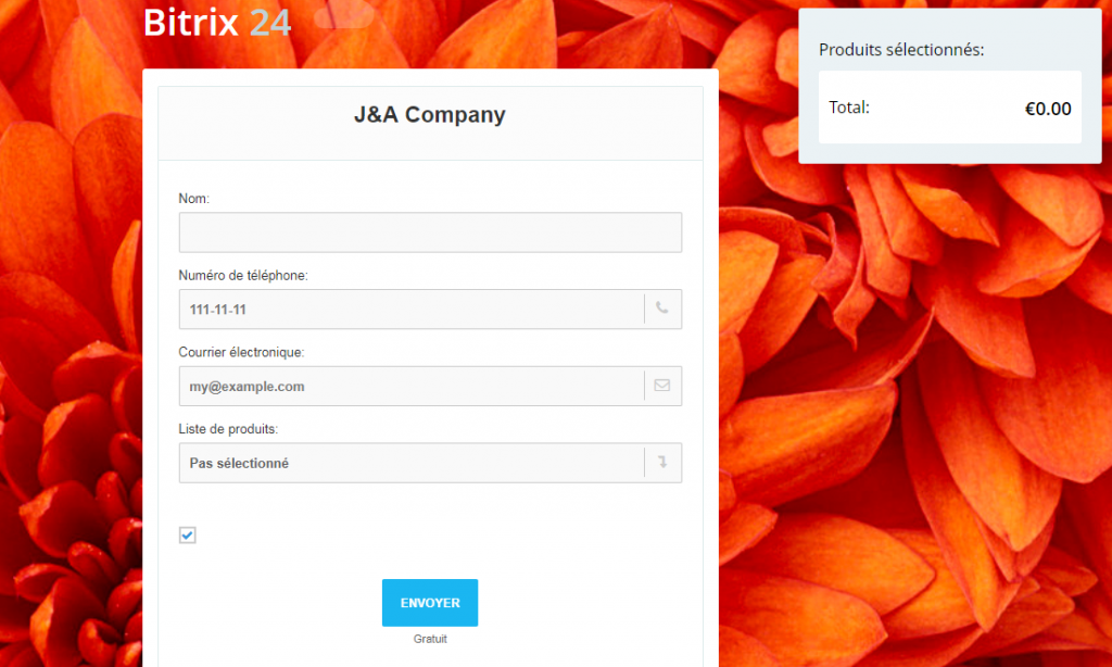 CRM web forms configuration_13.png CRM web forms configuration_13.png